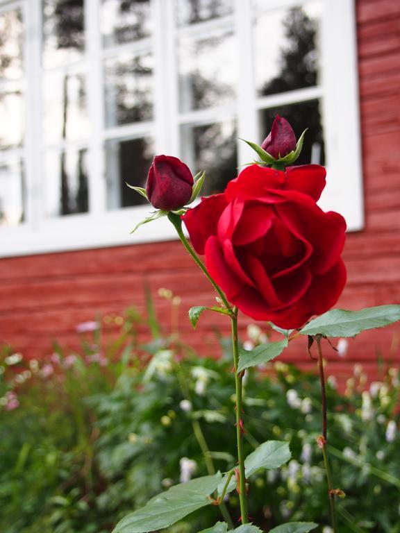 Loma-Vietonen Holiday Village Meltosjärvi 외부 사진